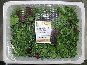 우성라이프 [청보] 친환경 어린잎채소 500g